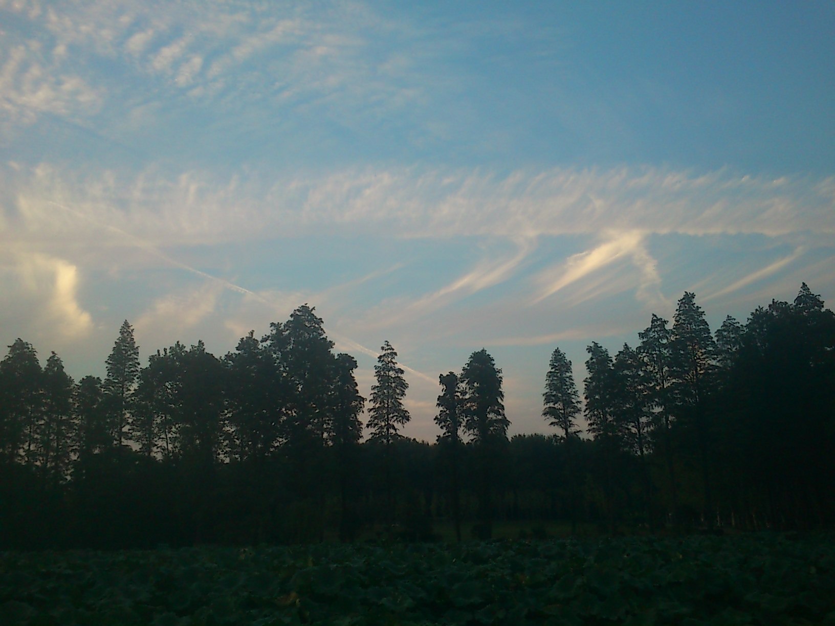 dsc_0061.jpg