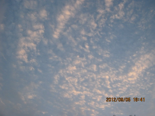 img_6847.jpg