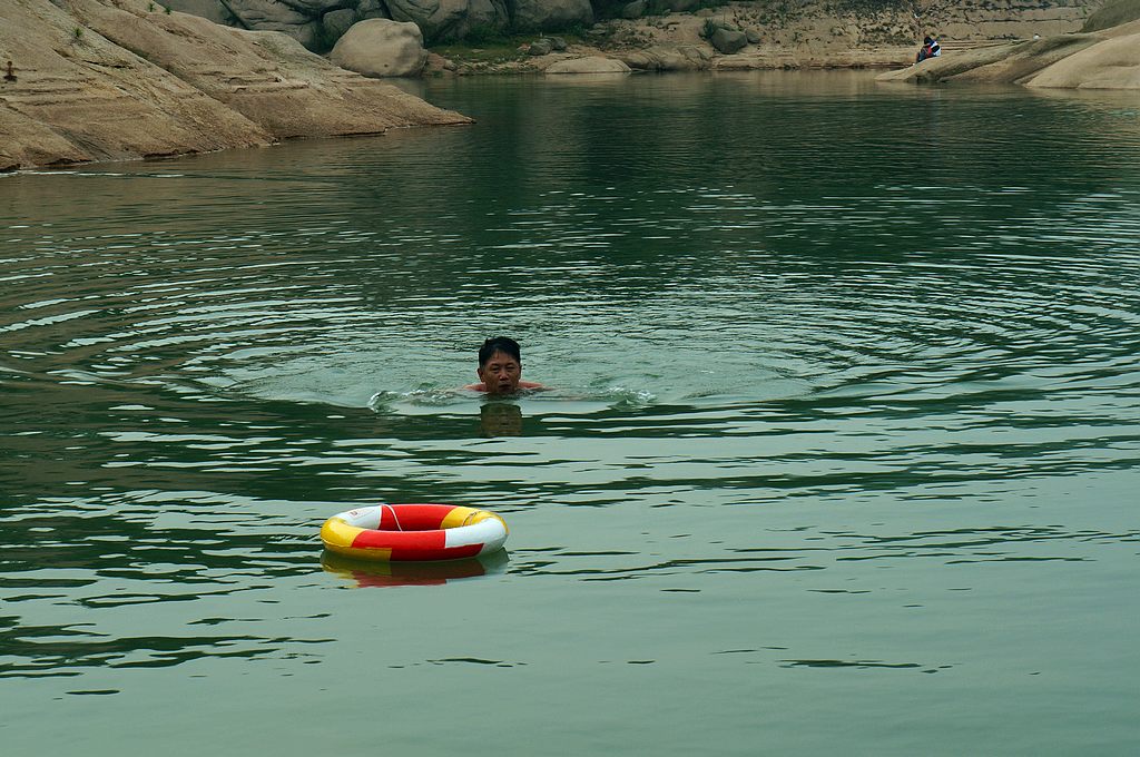 dsc01356.jpg