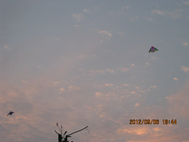 img_6855.jpg