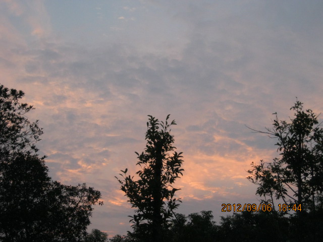 img_6856.jpg