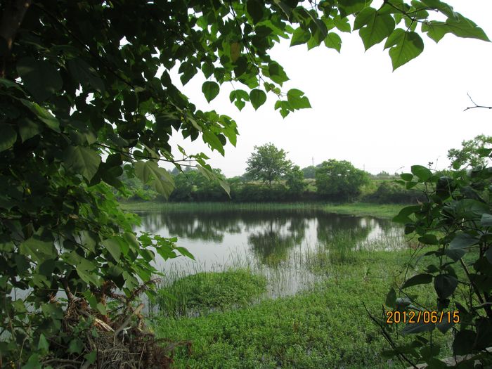 Ƭ 076.jpg