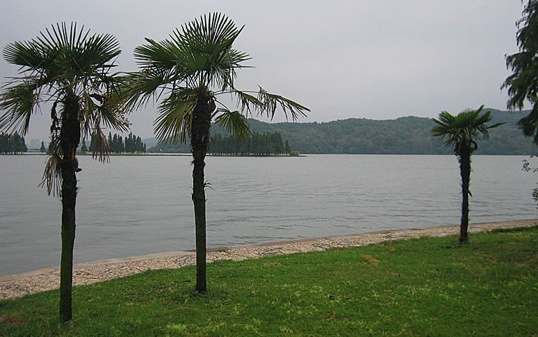 img_6302_1.jpg
