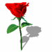 @jn9d7roq(n0$wdutbi~o.gif