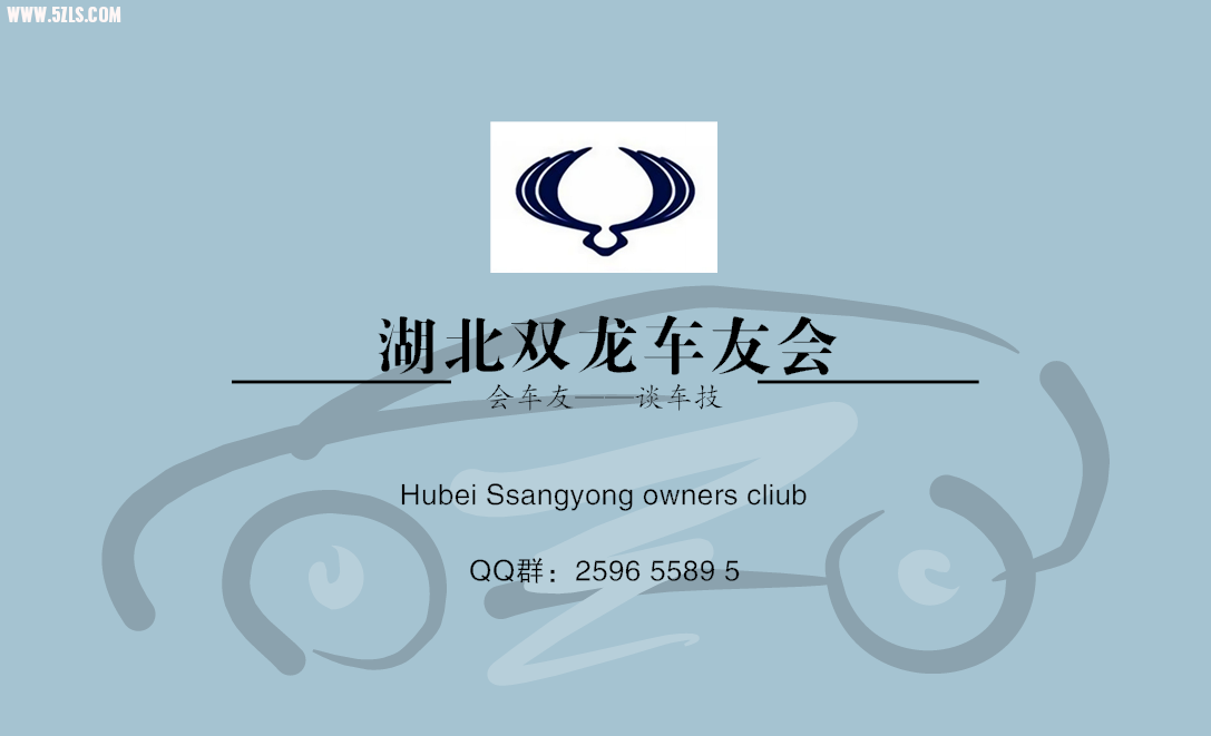 ˫