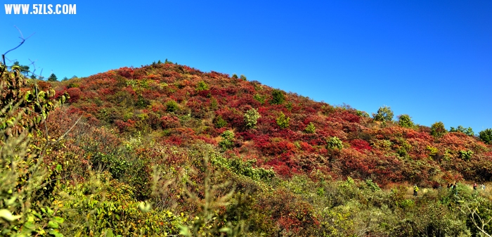 _DSC5688.jpg