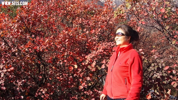 P1016410_С.JPG