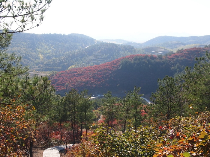 P1016412_С.JPG