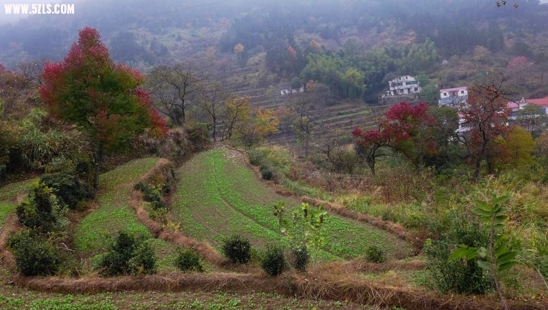 P1030449.jpg