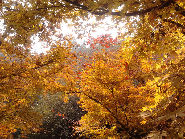 2012-11-20 11.41.01.jpg