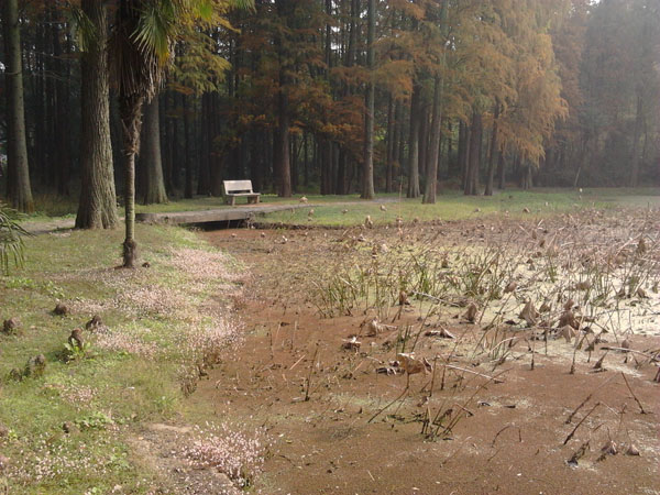 2012-11-20 10.13.48.jpg