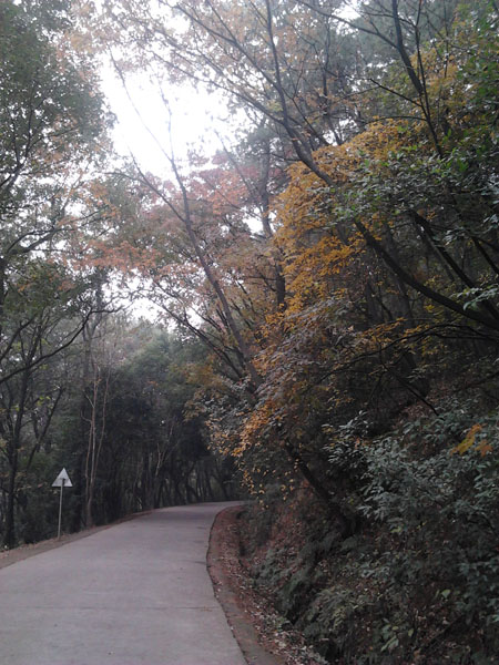 2012-11-20 10.37.13.jpg