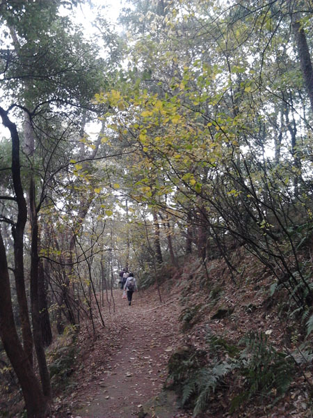 2012-11-20 10.51.13.jpg