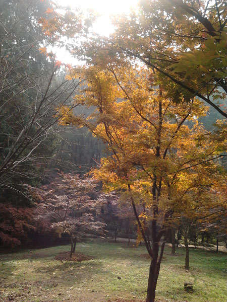 2012-11-20 11.37.15.jpg