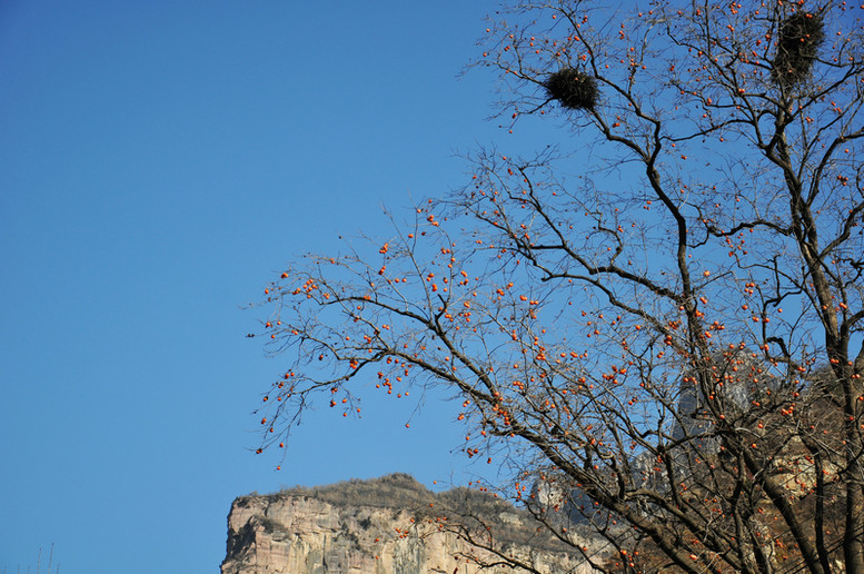 DSC_0109.jpg