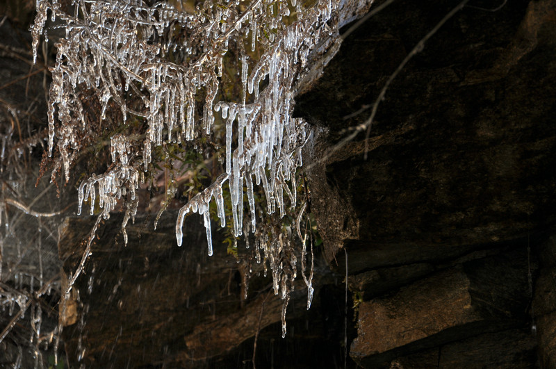 DSC_0099.jpg