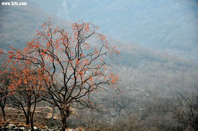 DSC_0498.jpg