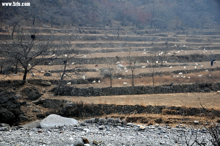 DSC_0499.jpg