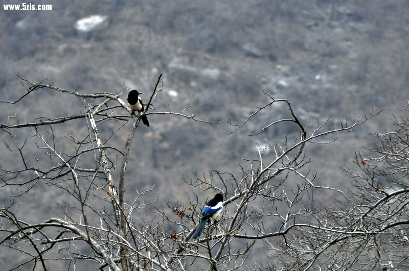 DSC_0564.jpg
