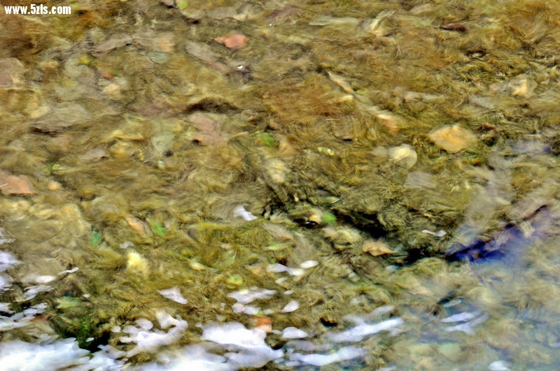 DSC_0801.jpg