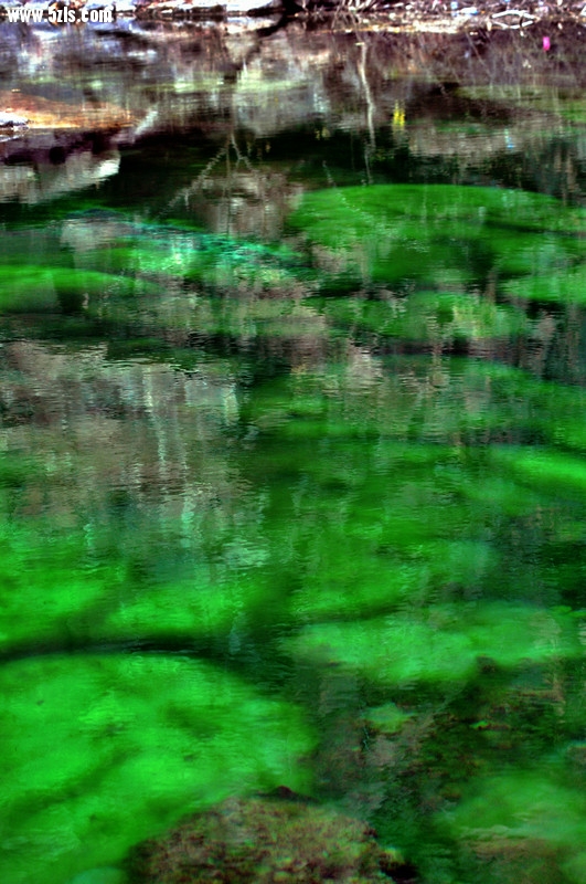 DSC_0899.jpg