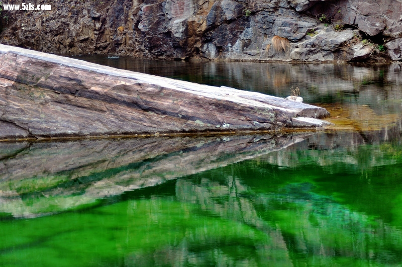 DSC_0909.jpg