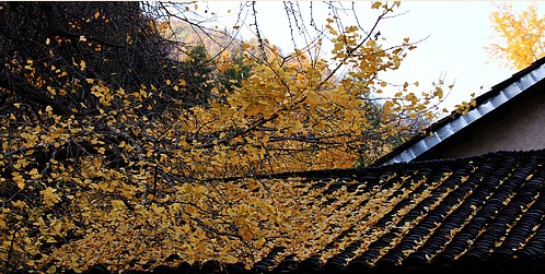 LA19XFUNEH]OX_]S61J}@CD.jpg