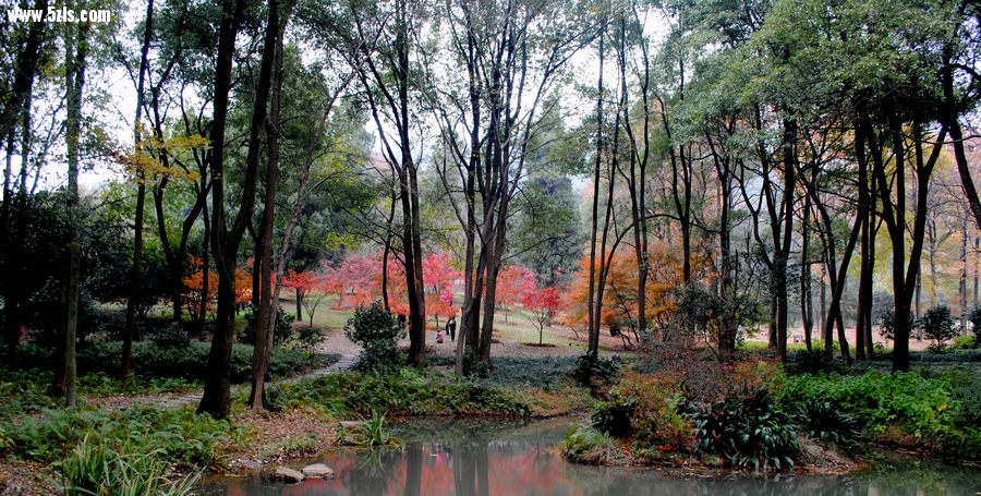 DSC_06101.jpg