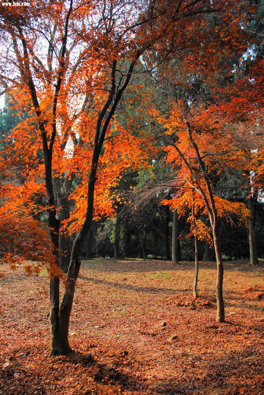 DSC_01201.jpg