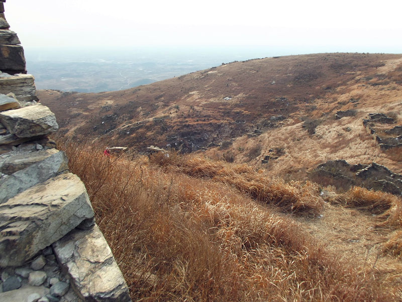 dscf0539_.jpg