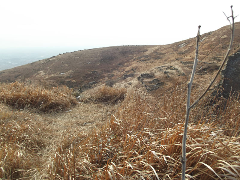 dscf0549_.jpg