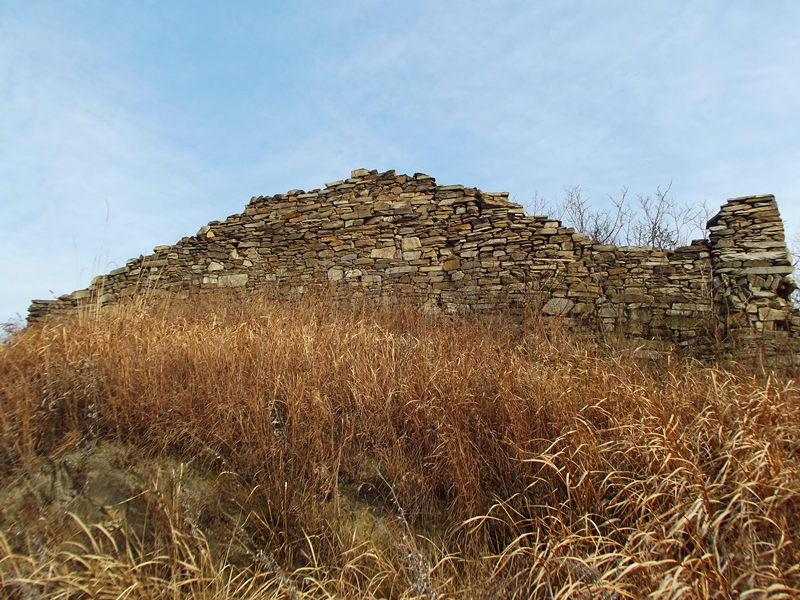 dscf0551_.jpg
