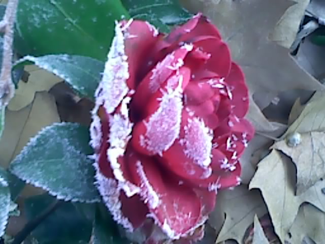 120101080041.jpg