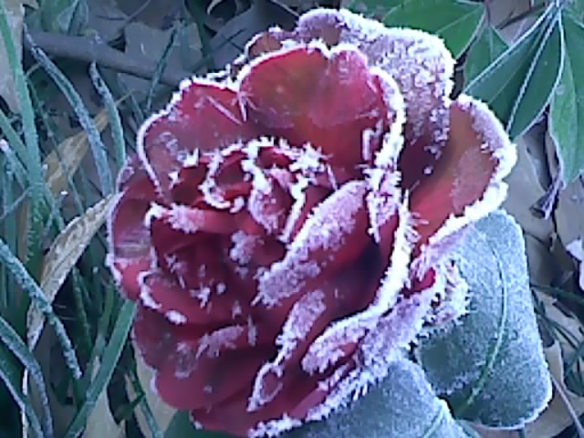 120101080421.jpg