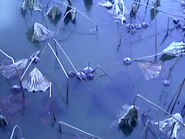 120101075647.jpg