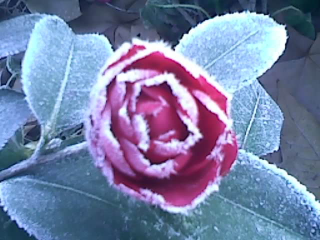 120101080211.jpg