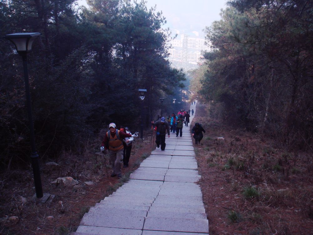 dsc01578.jpg