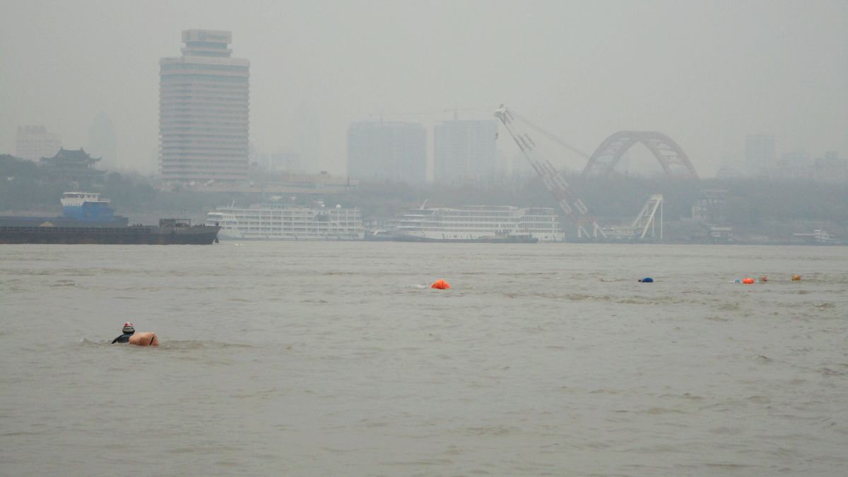neo_img_dsc00642.jpg