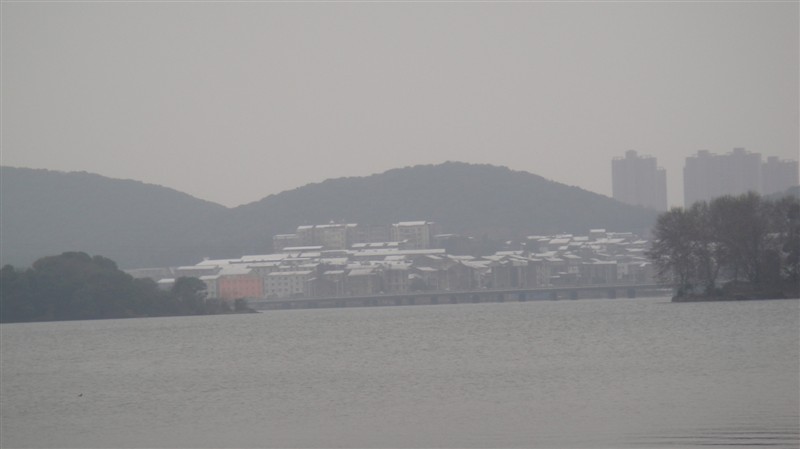 96.jpg