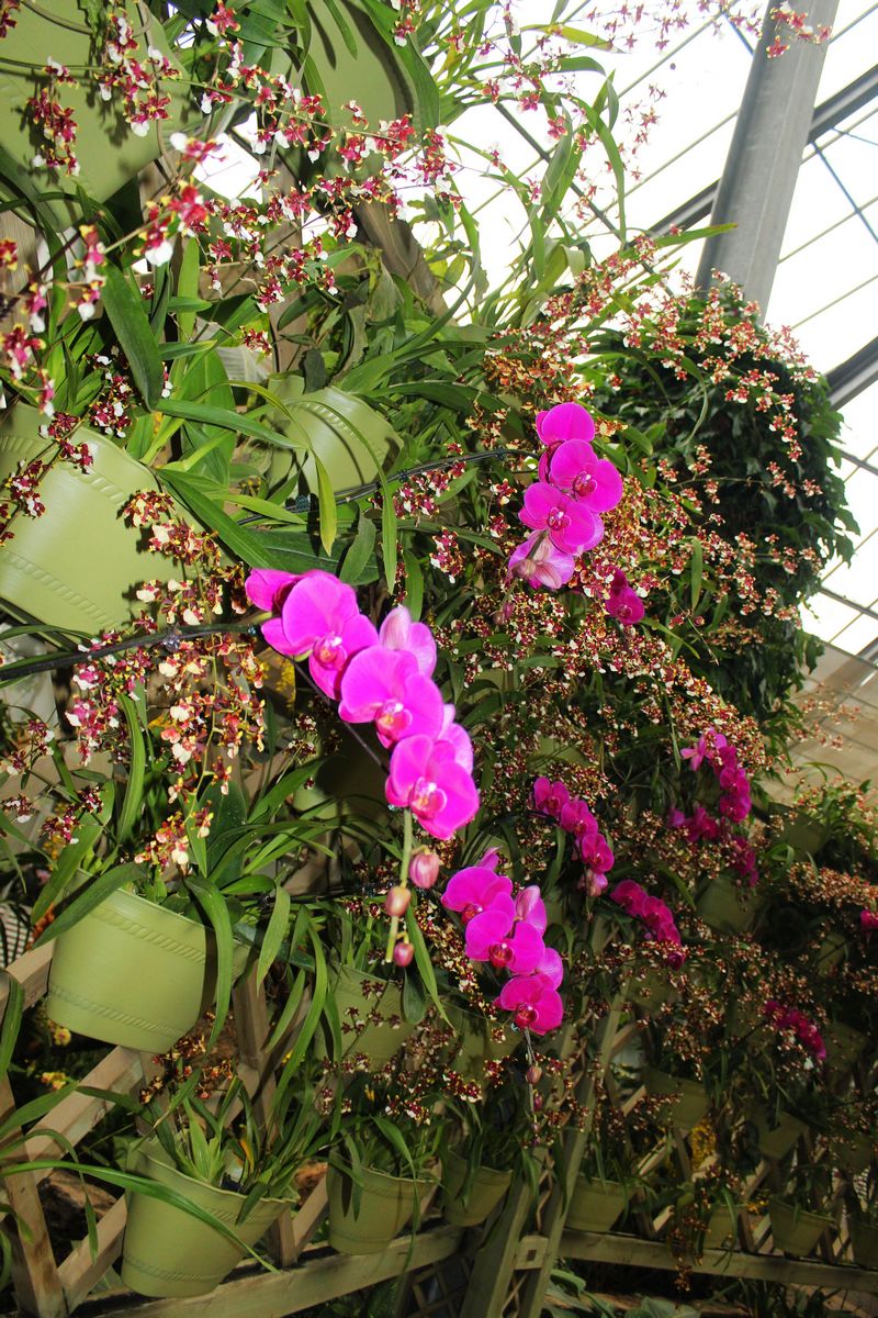 img_8632.jpg
