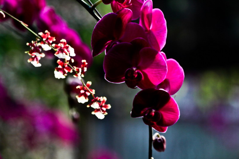 img_4868_��С��С.jpg
