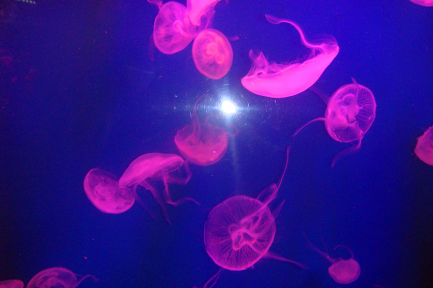 dsc09253_.jpg