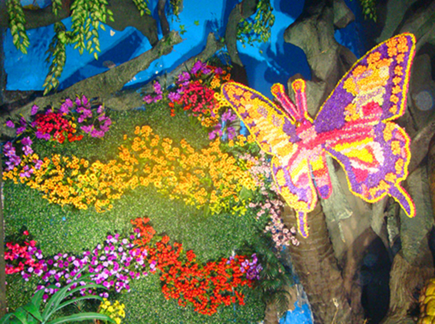 dsc09236__.jpg