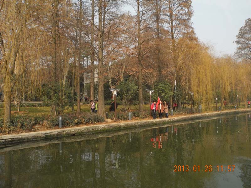 dscn2215.jpg