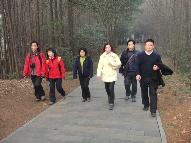 dsc08203.jpg