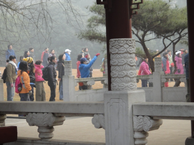 dsc08183.jpg