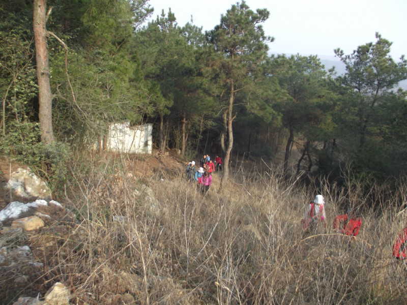 07.jpg