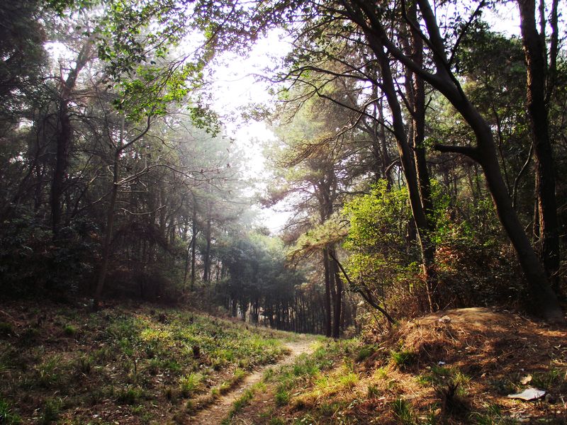 dscf8157.jpg