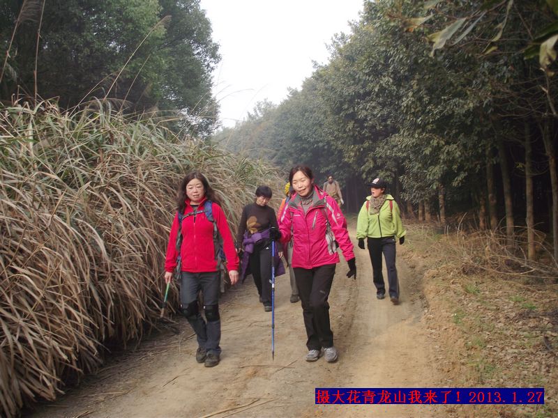 dscf8049.jpg