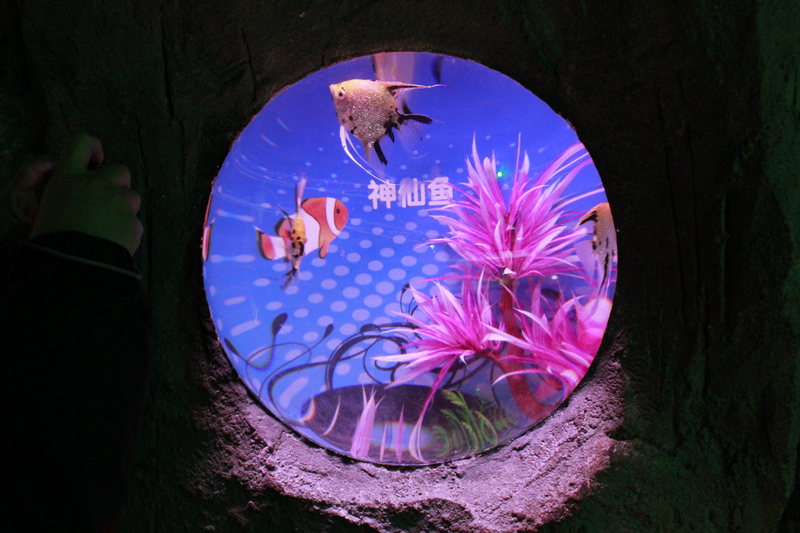 neo_img__mg_2300.jpg